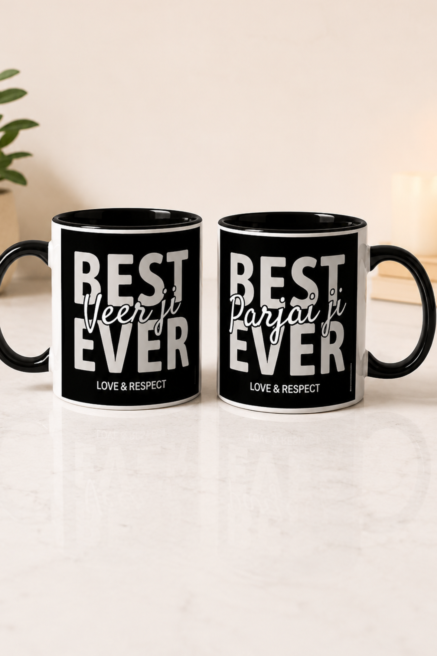 Best Veer Ji Parjai Ji Mug